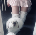 cutedoII