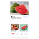 Watermelon sugar team