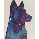 Galaxy_Husky_Val Fans
