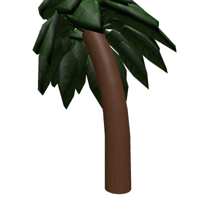 Palm Tree