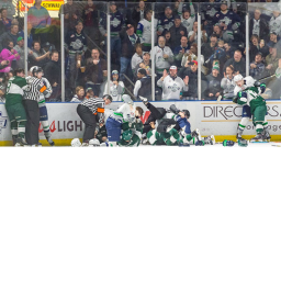 Hockey Fight