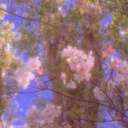 ୨୧°