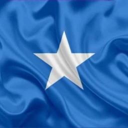 🌴🎙️ [UPD] Somali Mic 🎙️ icon