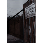Twd cult