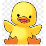 DUCKSQUADYT