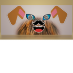 eu sou noob quem quer robux
