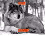 Great Wolf Club
