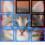 THE PINEWOOD CATS