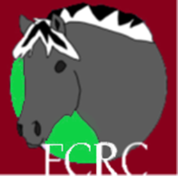 Flower Crown Equestrian Centre {CHRISTMAS!}