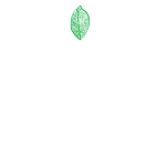 [Group Name Here.]