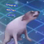 The dog group for people that love dogs
