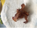 Baconlovinkids