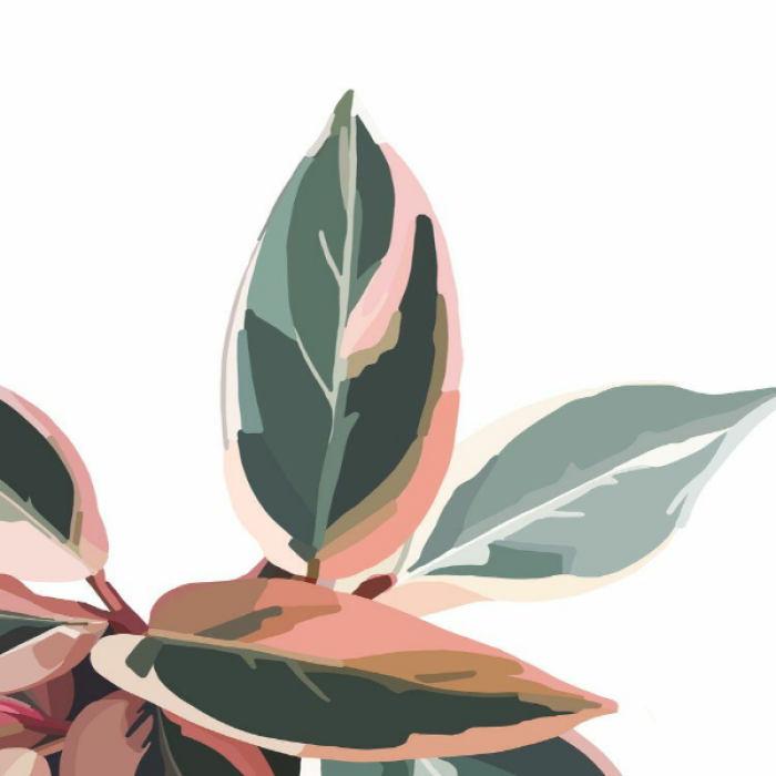  [SUBURBAN] Pink & Green Leaves II Roblox decal