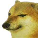 *DOGE CLAN*