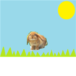bunny group :)
