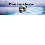 Polar Bear's Forever