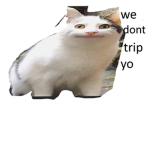 non trippers