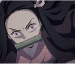 Demon slayer fan club! :)