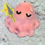 the spudlings