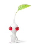 Caucasian pikmin