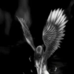 'nocturnal