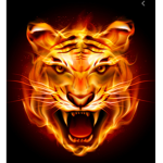 Lil Tiger Fan Group!!!