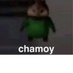 Team chamoy original