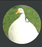 Random state roleplay