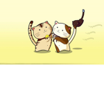 The Cat Devs