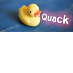 The Quack Team