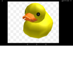 #Ducks army