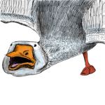 goos