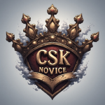 《》CSK-NOVICE《》