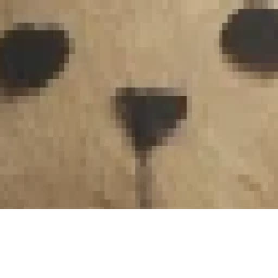 Bearlace and grom in:The quest for cheese icon