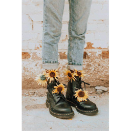🌻