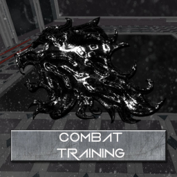 IS | Combat Training