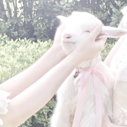 ♡