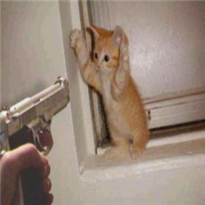 cat burglar Roblox decal