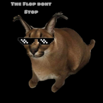 The FLOPP dont stop