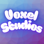 Voxel studio