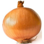 Taktyczna cebula