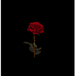 Sorrow 🥀/
