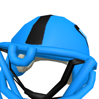 Belugas Helmet