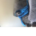 Cam3ron715 people