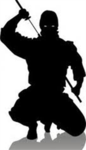 nijas of the shadows