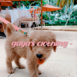 - gaia clothing -