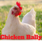 Chicken Rally!