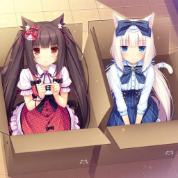 Raise a Neko cat