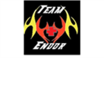 Team Endor Secret Gods