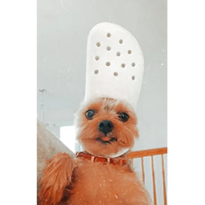 Babydogy Roblox group icon